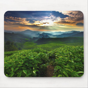 Sonnenaufgang über Tee-Bauernhof Mousepad