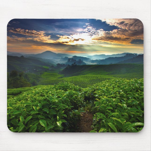 Sonnenaufgang über Tee-Bauernhof Mousepad (Vorne)