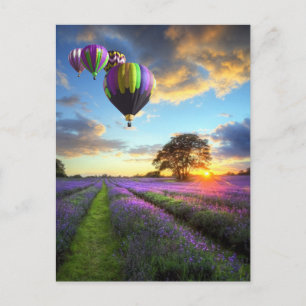 Sonnenaufgang und Heißluftballons über Lavendelfel Postkarte