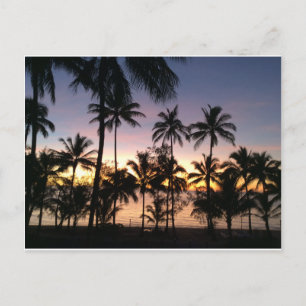 Sonnenaufgang und Palmen Postkarte