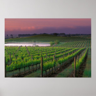 Sonnenaufgangsfarbe im fernen Nebel Poster