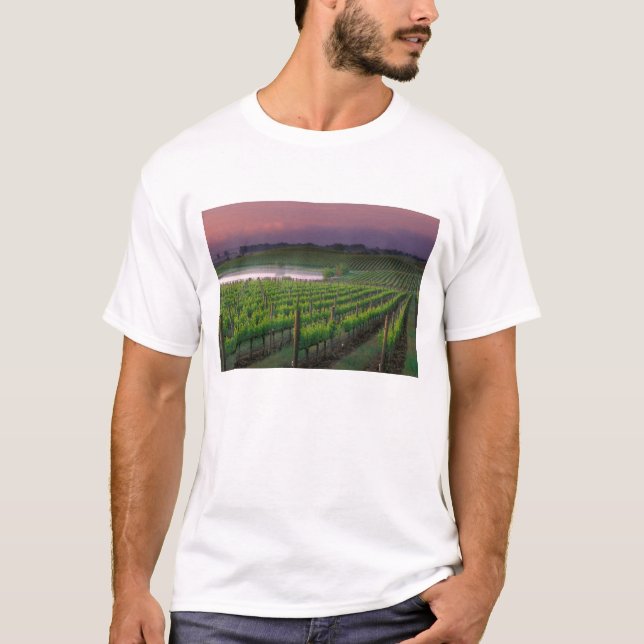Sonnenaufgangsfarbe im fernen Nebel T-Shirt (Vorderseite)