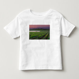 Sonnenaufgangsfärbung im entfernten Nebel dahinter Kleinkind T-shirt
