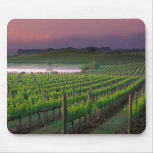 Sonnenaufgangsfärbung im fernen Nebel dahinter Mousepad