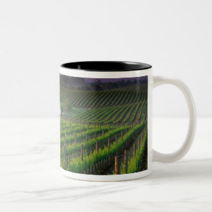 Sonnenaufgangsfärbung im fernen Nebel dahinter Zweifarbige Tasse
