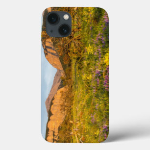 Sonnenaufgangslichter Blackleaf Canyon Case-Mate iPhone Hülle