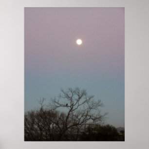 Sonnenaufgangsmodemposter Poster