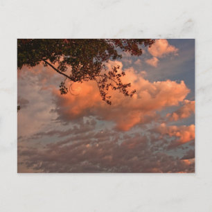 Sonnenaufgangswolken, Postkarte