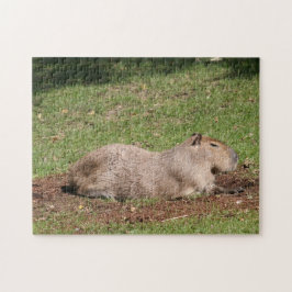 Sonnenbaden Capybara Puzzle