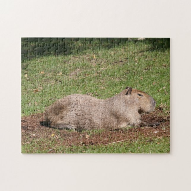 Sonnenbaden Capybara Puzzle (Horizontal)