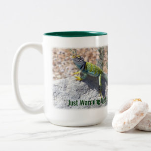 Sonnenbaden farbenfroh farbige Lizard Reptile Zweifarbige Tasse