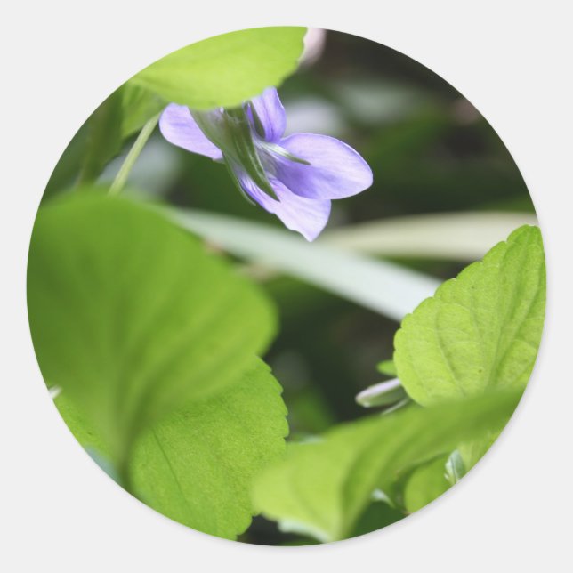 Sonnenbaden ? runder aufkleber (Vorderseite)