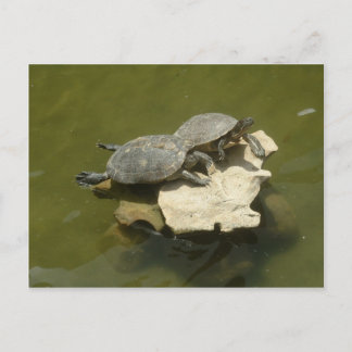 Sonnenbäder Postkarte