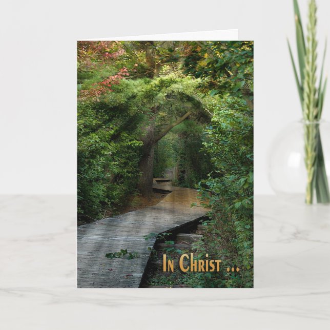 Sonnenbänke in Holz Sympathiekarte Karte (Vorderseite)