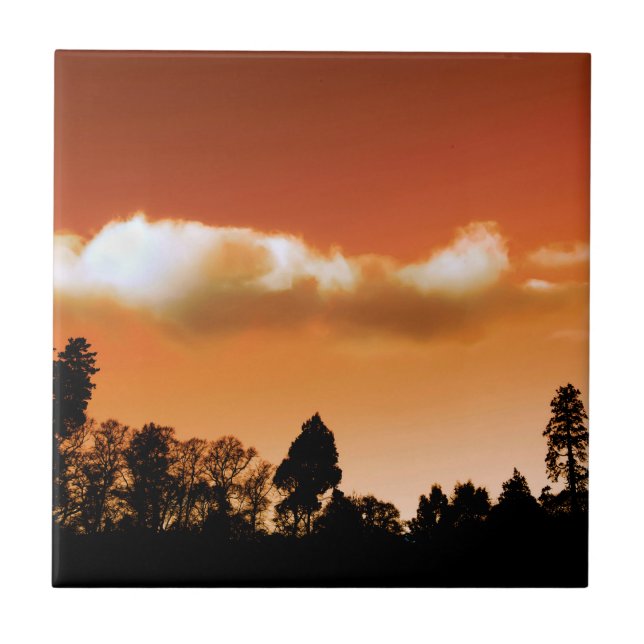 Sonnenbäume Fliese (Vorderseite)