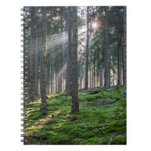 Sonnenbäume im Schwarzwald Notizblock