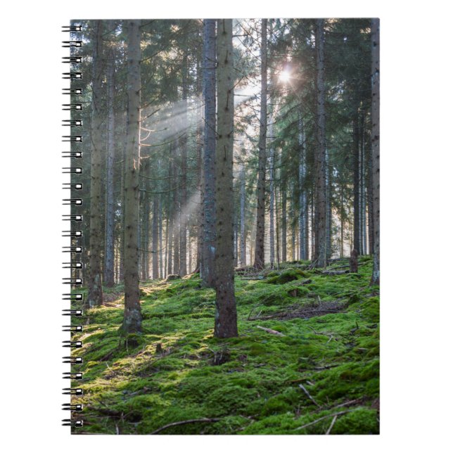 Sonnenbäume im Schwarzwald Notizblock (Vorderseite)