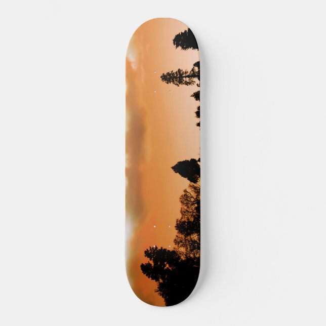 Sonnenbäume Skateboard (Vorderseite)