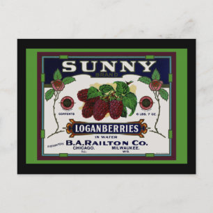 Sonnenbeere Loganberry Frucht Postkarte