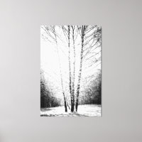 Sonnenbeleuchtete Birkenbäume im Winterwald
