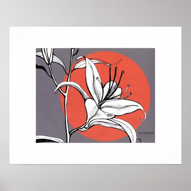 Sonnenbeleuchtete Taglilie Poster (Vorne)