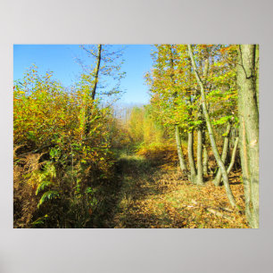 Sonnenbeleuchtete Wälder im Herbst - Personalisier Poster
