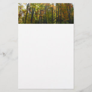 Sonnenbeleuchteter Herbstwald Herbstlandschaft Briefpapier
