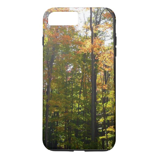 Sonnenbeleuchteter Herbstwald Herbstlandschaft Case-Mate iPhone Hülle (Rückseite)