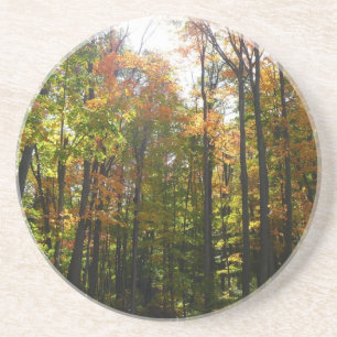 Sonnenbeleuchteter Herbstwald Herbstlandschaft Getränkeuntersetzer