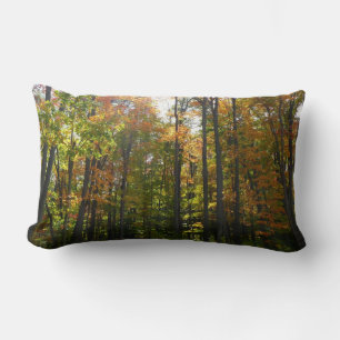 Sonnenbeleuchteter Herbstwald Herbstlandschaft Lendenkissen