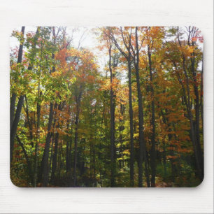 Sonnenbeleuchteter Herbstwald Herbstlandschaft Mousepad