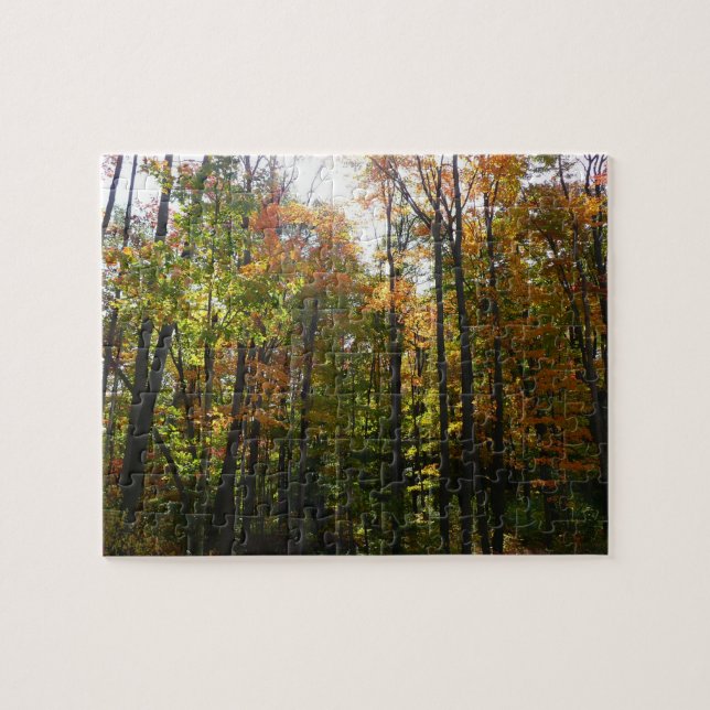 Sonnenbeleuchteter Herbstwald Herbstlandschaft Puzzle (Horizontal)