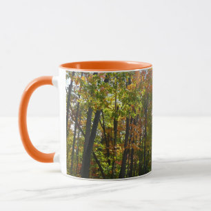 Sonnenbeleuchteter Herbstwald Herbstlandschaft Tasse