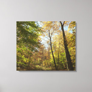 Sonnenbeleuchteter Herbstwald II Herbstlandschaft Leinwanddruck