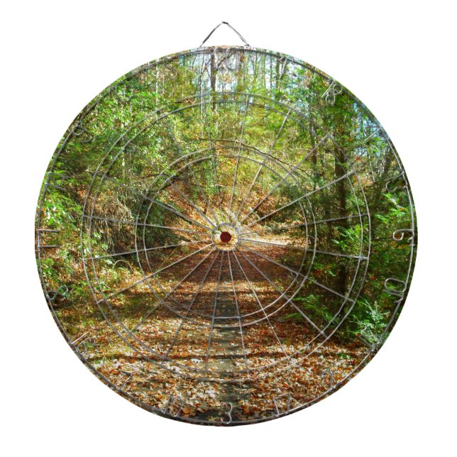 Sonnenbeleuchteter Herbstwaldpfad Dartscheibe (vorne)