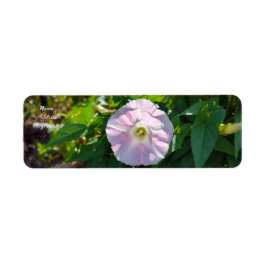 Sonnenbeleuchteter Hintergrund