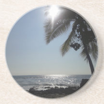 Sonnenbeleuchteter Palmenbaum