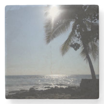 Sonnenbeleuchteter Palmenbaum