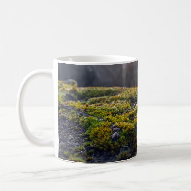 "Sonnenbeleuchteter Waldboden - Moss Nah-up bei Dä Kaffeetasse (Links)