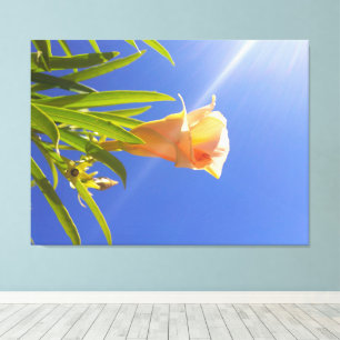 Sonnenbeschienene Blüte unter einem tiefblauen Him Leinwanddruck