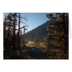 Sonnenbeschienene vereiste Kiefern am Dream Lake
