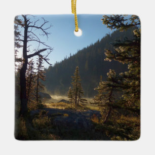 Sonnenbeschienene vereiste Kiefern am Dream Lake Keramikornament