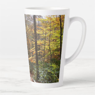 Sonnenbeschienener Herbstweg im Laurel Hill State Milchtasse