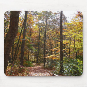 Sonnenbeschienener Herbstweg im Laurel Hill State Mousepad