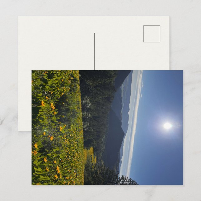 Sonnenbeschienenes Tal Postkarte (Vorne/Hinten)