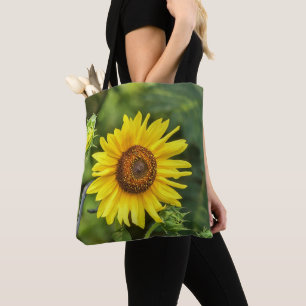 Sonnenblume