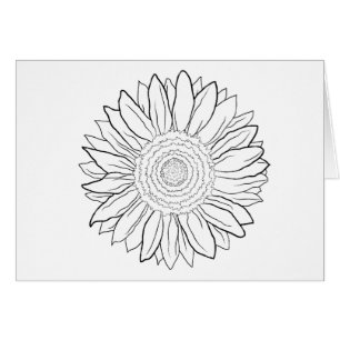 Sonnenblume