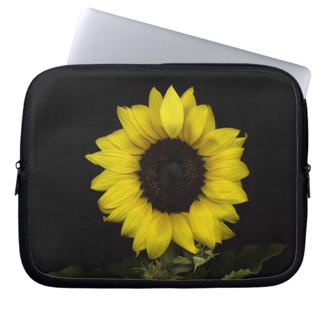 Sonnenblume 11 laptopschutzhülle (Vorderseite)