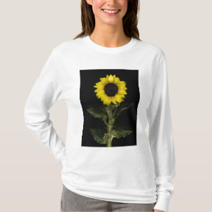 Sonnenblume 11 T-Shirt