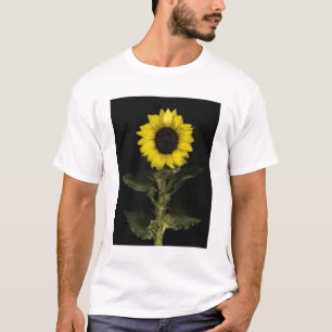 Sonnenblume 11 T-Shirt